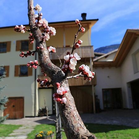 Ferienhof Weingenuss Apartment Cortina Sulla Strada del Vino Exterior photo